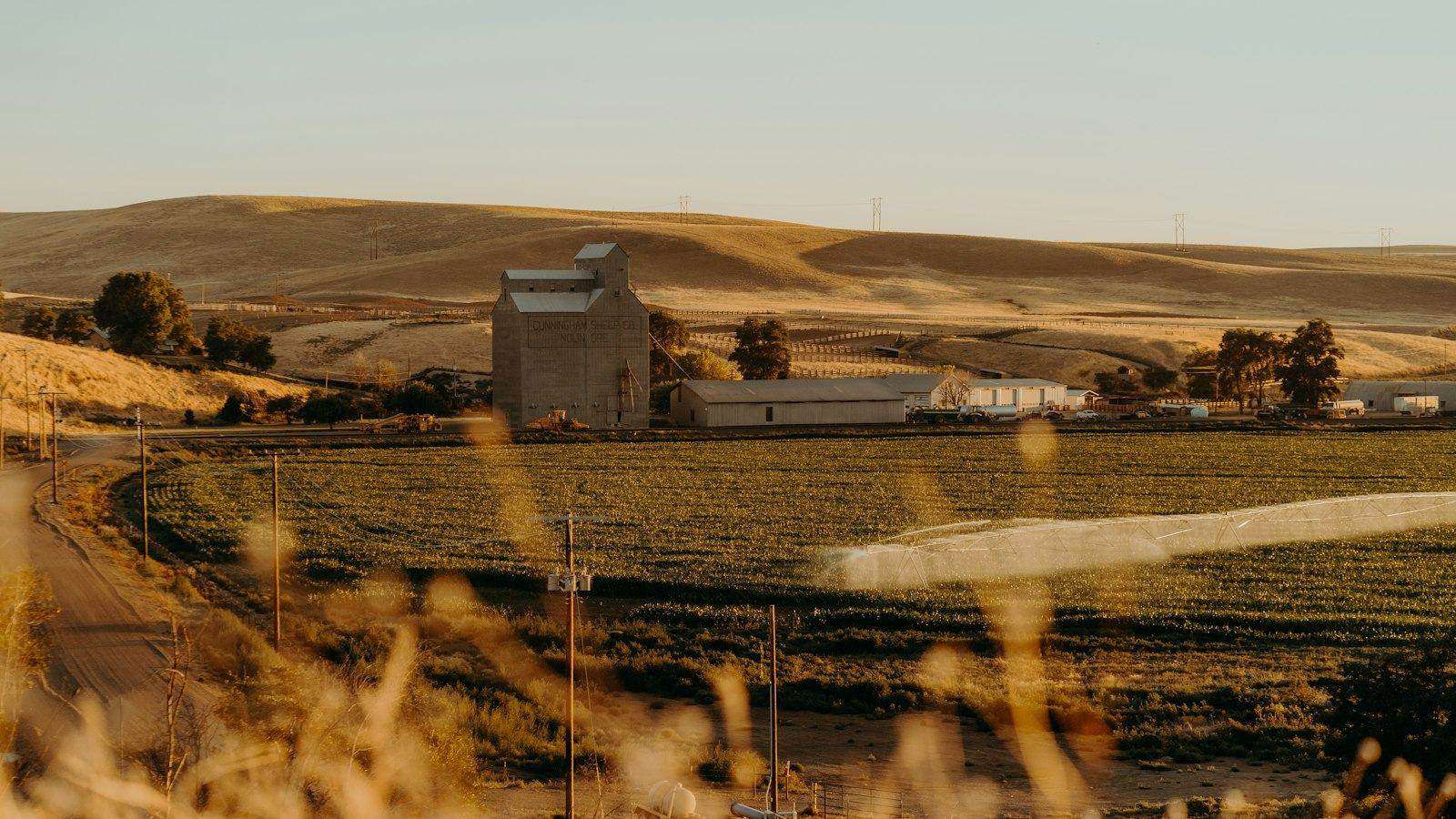 GrainBrief editorial image for Wet-Grain Drying Cost